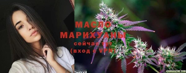 сатива Краснослободск