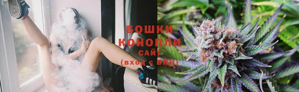 сатива Краснослободск