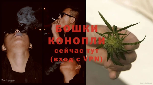 дмт Ладушкин