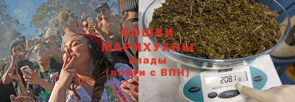 прущие грибы Коряжма