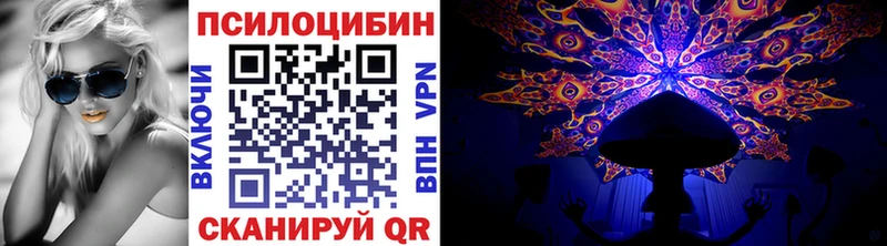 Галлюциногенные грибы прущие грибы сколько стоит Михайловка