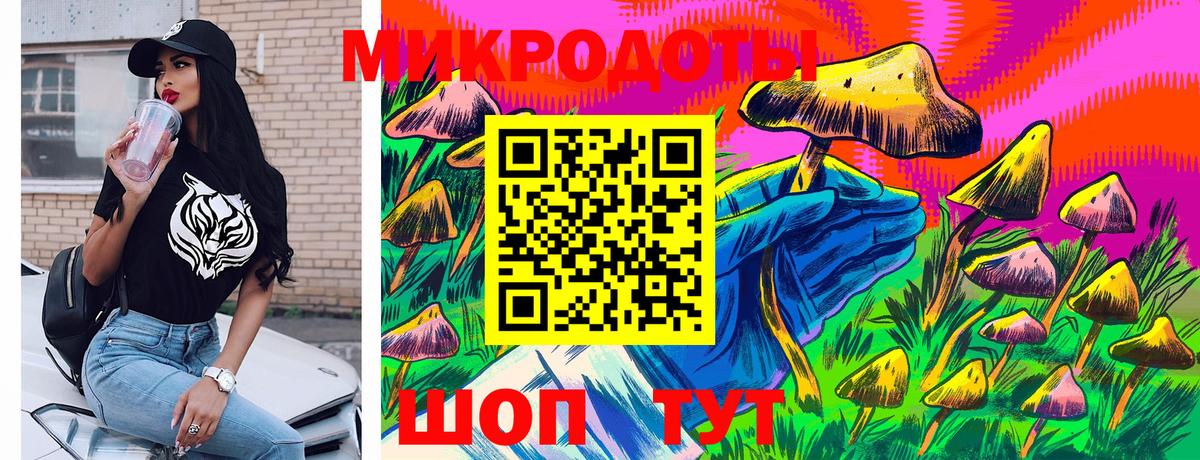 Псилоцибиновые грибы Psilocybine cubensis  купить наркотик  Михайловка  Вход с VPN 